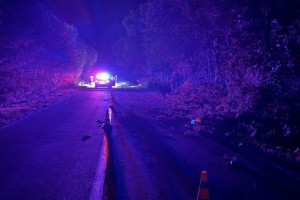 Во Владимирской области два пассажира ВАЗа погибли из-за пьяного водителя