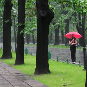 Ливни вернутся во Владимирскую область на новой неделе