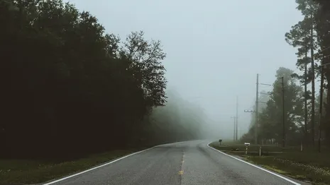 Густой туман накрыл трассы во Владимирской области