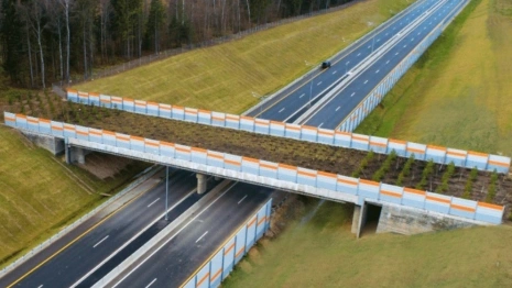Во Владимирской области строительство экодука на М-12 вышло на финальную стадию