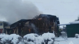 При пожаре в частном доме под Муромом пострадала женщина