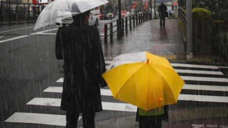 Во Владимирской области начнутся магнитные бури и грозы