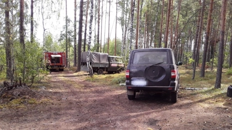 Во Владимирской области вспыхнул очередной лесной пожар