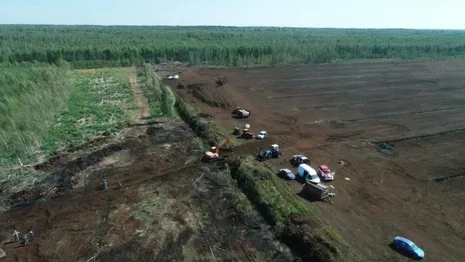 Площадь пожара на панфиловских болотах во Владимирской области сократилась до 0,8 га