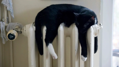 Где во Владимире включат отопление 21 сентября