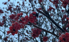 Прогноз погоды во Владимирской области на 26 декабря 2025 года