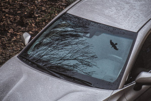 В Вязниках 36-летний водитель легковушки пострадал в ДТП с деревом