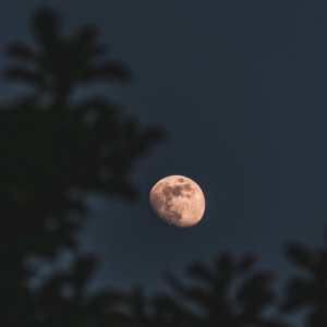 Владимирцы увидят 23 мая цветочную Луну