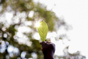 Владимирская область стала «хорошистом» в экорейтинге