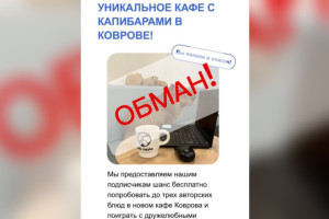 Жителей Владимирской области начали разводить с помощью фейк-рекламы кафе с капибарами