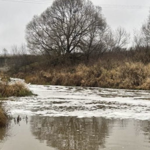 Бастрыкин взял на контроль историю с загрязнением реки Пекша в Петушинском районе
