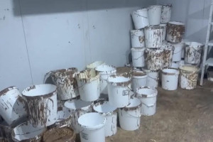 Во Владимире накрыли подпольное производство «KitKat» и «Kinder»