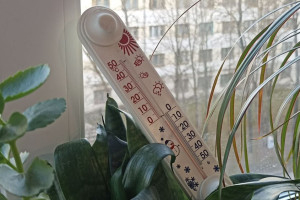 В выходные во Владимирскую область вернутся заморозки до -5