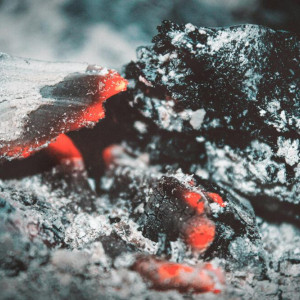 Во Владимире вблизи коттеджного поселка нашли сгоревший труп