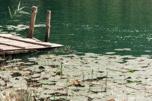 Стало известно, как подростка убило током во Владимирской области