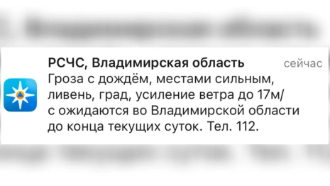 МЧС предупредило жителей Владимирской области о грозе и граде 13 августа