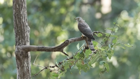 Ефимов день: что можно и чего нельзя делать 24 марта