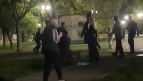 Группа подростков устроила драку в сквере имени Кутузова во Владимире