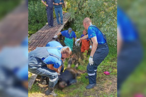 Погибшая в Суздальском районе пенсионерка была слепой