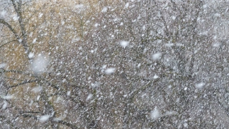 На Владимирскую область надвигается снегопад