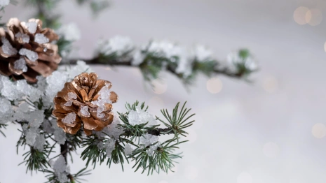 Прогноз погоды во Владимире и области на 9 декабря