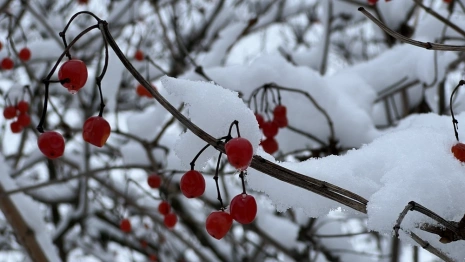 Прогноз погоды во Владимирской области на 14 февраля