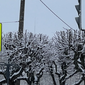 В Муроме за день сбили двоих пешеходов