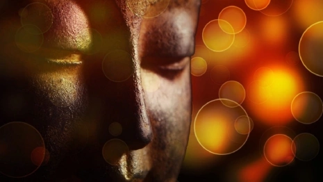 Полиция рассказала о смерти владимирского депутата и еще одного россиянина в отеле Индии