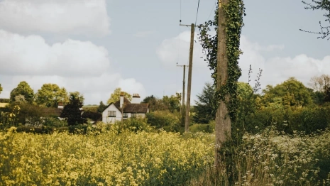 Жители Владимирской области пожертвовали на благоустройство деревень 14,2 млн   