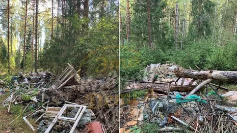 Жители Коврова обнаружили в лесу кладбище строительного мусора