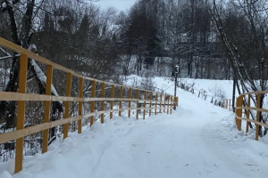 В Александровском районе чиновники проигнорировали жителей отрезанной от города деревни