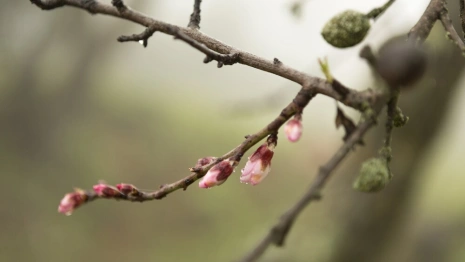 Прогноз погоды на 28 марта 2024 года во Владимире и области