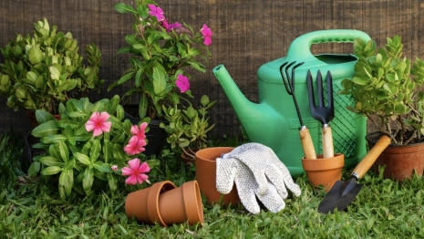 В Петушках председателя СНТ будут судить за присвоение 2 млн рублей