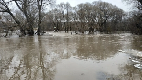 Во Владимирской области затопило 144 двора