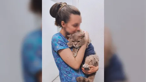 Погибшей в жуткой аварии на МКАД оказалась ветеринар из Владимира