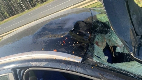 Водителя из Судогды будут судить за смертельную аварию с женщиной-пешеходом