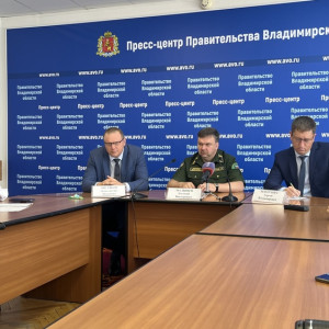 «Гусениц не будет – будут бабочки». Что владимирские власти рассказали о нашествии шелкопряда