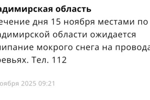 МЧС предупредило жителей Владимирской области о налипании мокрого снега