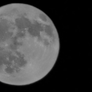 Над Владимирской областью взошла суперлуна