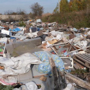 Жители Владимирской области жили рядом со стихийной свалкой в 500 кв. метров