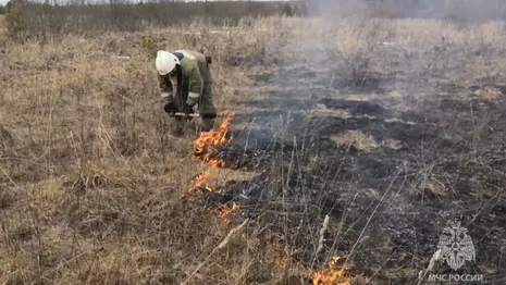 Во Владимирской области за сутки потушили 12 ландшафтных пожаров