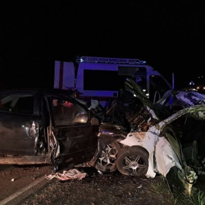 В Судогодском районе 4 человека погибли в ДТП с лосем