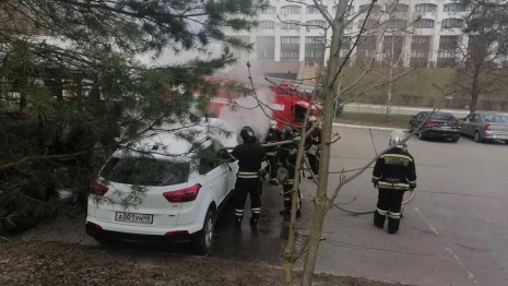 Во Владимире сгоревшая машина у Белого дома принадлежала Инне Дыровой
