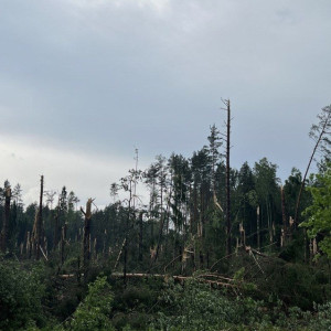 В Ковровском районе из-за урагана повредилась высоковольтная ЛЭП