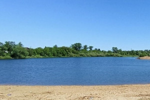 Разрешенный для купания пляж в Коврове закроют из-за борьбы с клещами