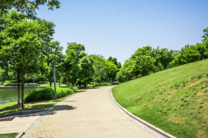 Во Владимирской области 28 городов и поселений собрали 12 млн рублей на благоустройство