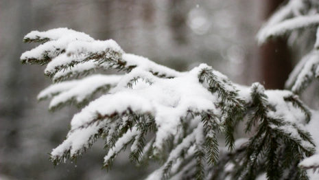 Прогноз погоды во Владимире и области на 23 января