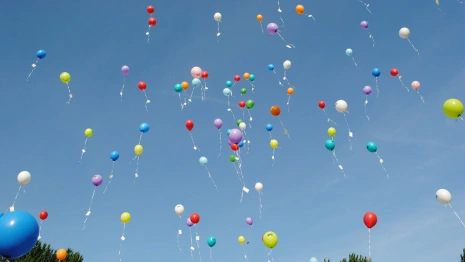 Жителей Владимирской области предупредили о фейковой акции «Небесный полк»