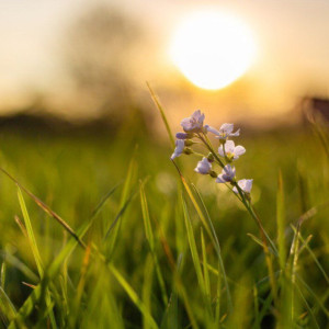 Прогноз погоды во Владимирской области на 25 августа