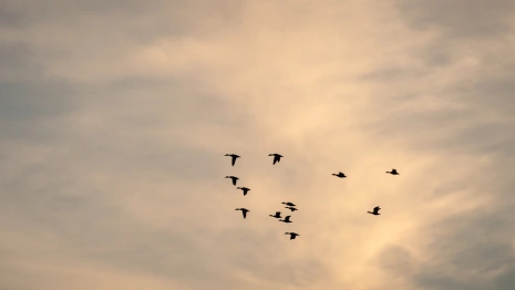 Народные приметы на 3 ноября. Что нужно сделать в Иларионов день, чтобы привлечь удачу